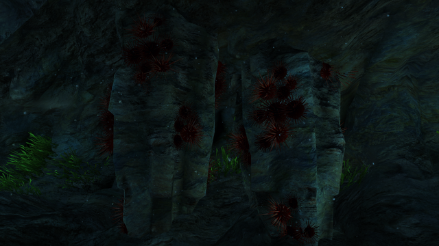 File:AC4 Sea Urchins.png