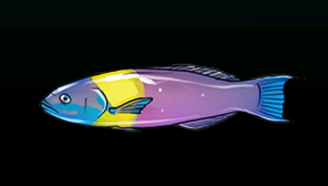File:CreoleWrasseACP.png