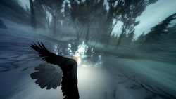 ACIII-Remember 9