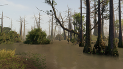 Bayou veduta.png