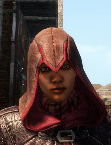 File:ACL Assassin Hood.png