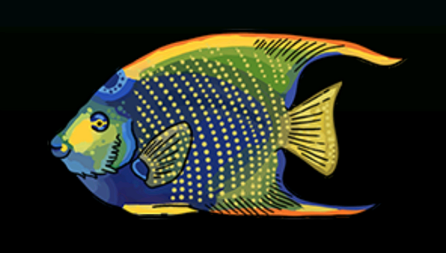 File:QueenAngelfishACP.png