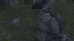 ACIII Les fleurs d'onagre de Prudence 3.png