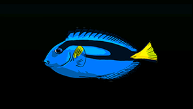 File:BlueTangACP.png
