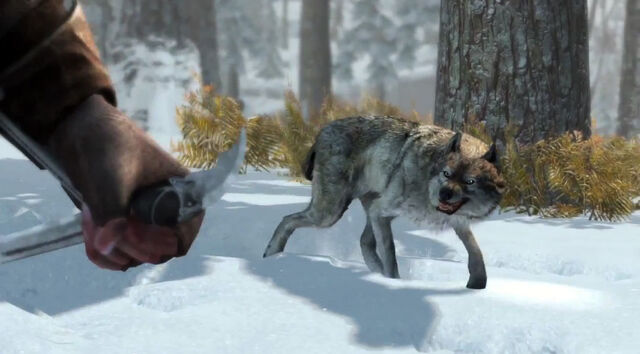File:Connor-and-angry-wolf.jpg