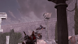 BH coop.png