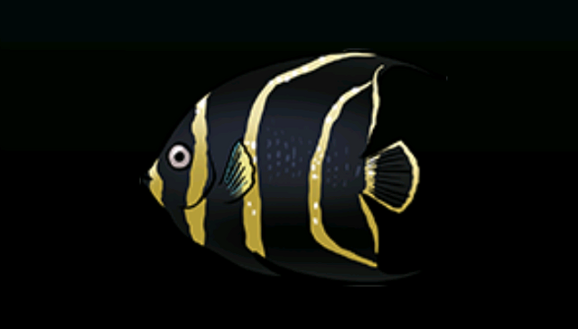 File:FrenchAngelfishACP.png