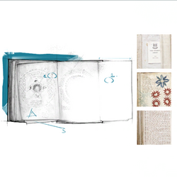 AC4 Voynich Manuscript