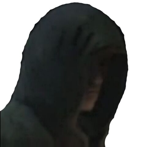 File:Hood3.jpg