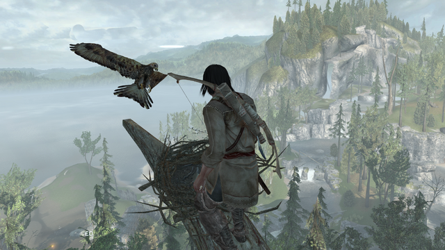 File:ACIII-FeathersandTrees 2.png