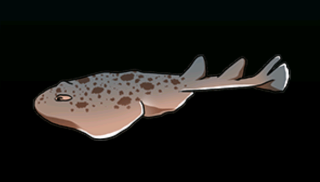 File:ElectricRayACP.png