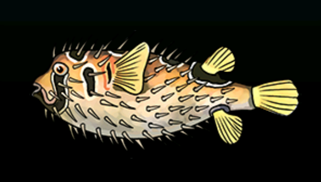 File:PorcupinefishACP.png