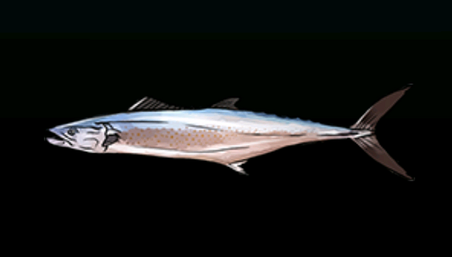 File:CeroACP.png