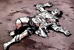 Nikolai lying-The Fall2