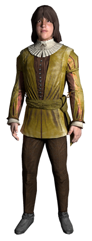 Bestand:PetruccioAuditoreDatabaseRender.png