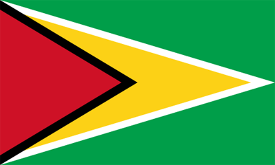Bestand:Flag of Guyana.png