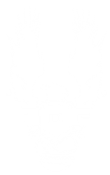 File:IDF5.png