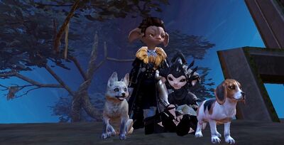 Gw209