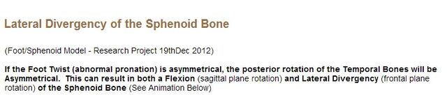 File:Foot Sphenoid Link 1.jpg