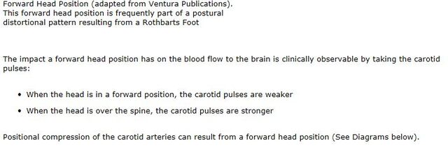 File:Description of FHP Animation.jpg
