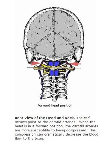 File:FHP Rear View.jpg