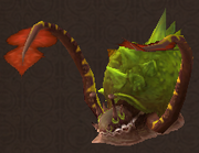 Snail