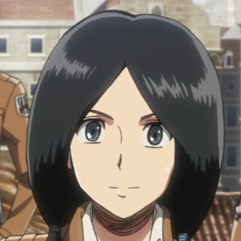 ファイル:ミーナ01.jpg