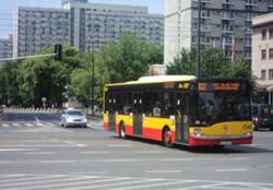 250px-DSC09564