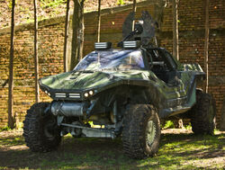 Warthog
