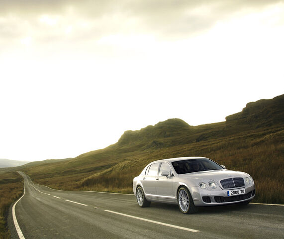 File:004 09flyingspur.jpg