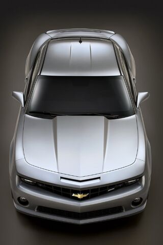 File:Chevrolet-Camaro-SS-2010-1.jpg