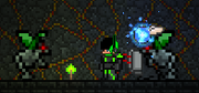 LuckOrNot