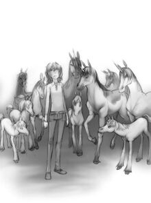 Emily finds the unicorns