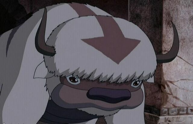 Bestand:Appa 2.jpg