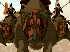 Komodo rhino