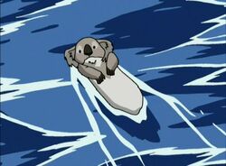 1х18 Коала-выдра.jpg