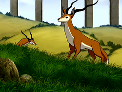 Fox antelope.png