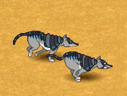 Armadillo Wolf
