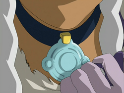 Yue's necklace.png