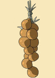 Aschebanane.png