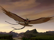 Messenger hawk