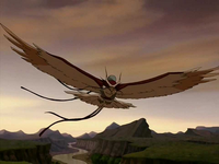Messenger hawk