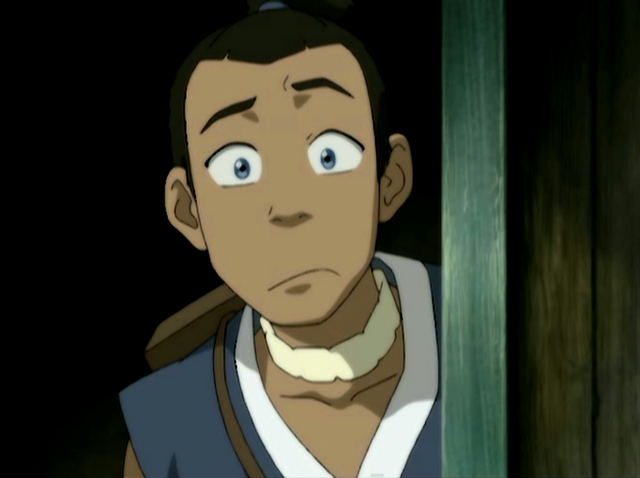 Tiedosto:Sokka.png