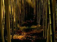 BAMBU.png