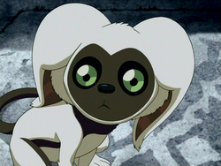 Momo.png