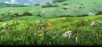 Field