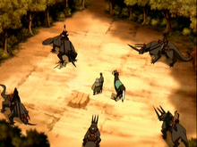 Rinocerontes.png