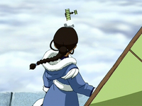Katara inquieta.png