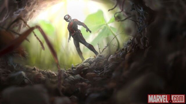 Datei:Ant-Man Marvel.com Bild 2.jpg
