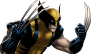 Wolverine Dialogue